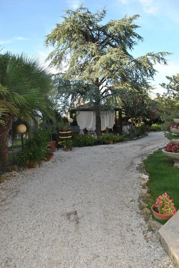 Villino alle terme Viterbo Esterno foto
