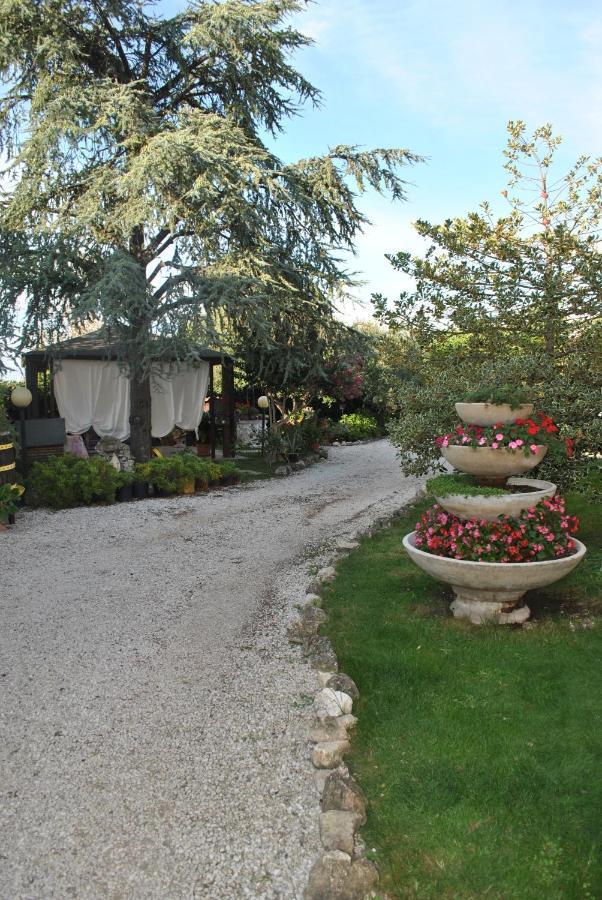 Villino alle terme Viterbo Esterno foto